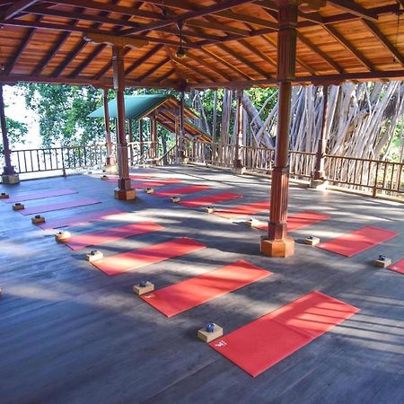 Amaru Wellbeing Resort Chinandega Dış mekan fotoğraf